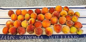 Our first picking of ripe peaches this year.