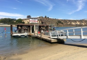 Pearson's Port fish shop