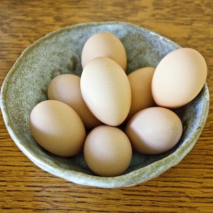 Eggs from my hens.
