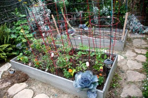 Veggie bed # 2, the first one to get planted this year.