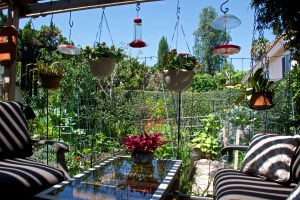 This is the view from my chair, looking to the west. This is a great place to enjoy the cool mornings before the sun heats things up.