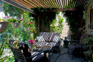 This is the sitting area on the deck. My favorite chair is the one on the right, still in shadow.