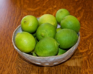 Megan harvested limes and a lemon for herself--not exactly crops one would grow in Indiana.