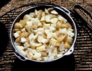 But I don't seem to have photographed the women, just the food. The ladies, in costume, cooked over campfires.