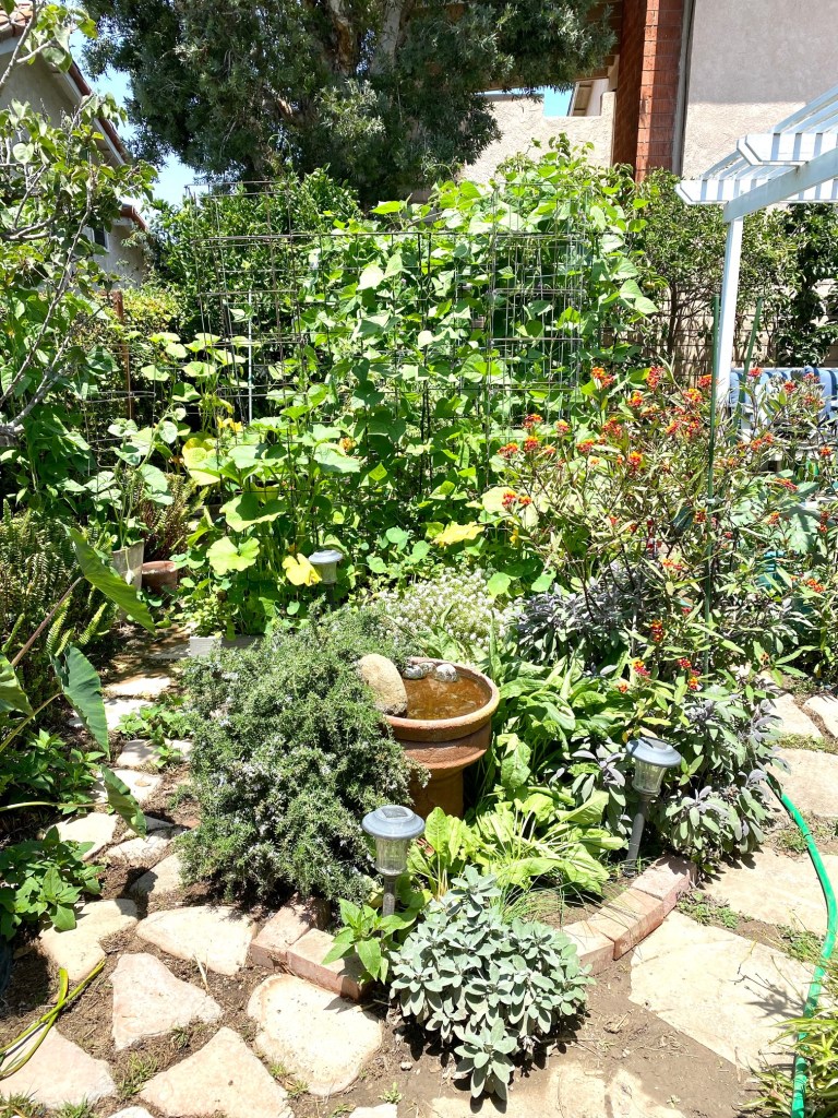herb garden