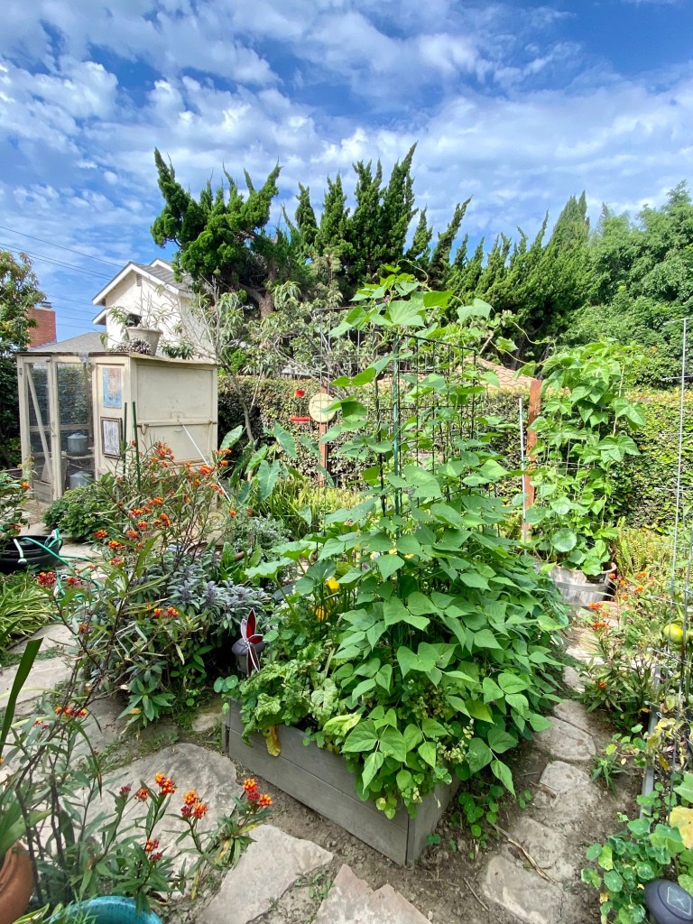 A view of our backyard from our deck, showing one veggie bed, the herb garden, and chickens coop.